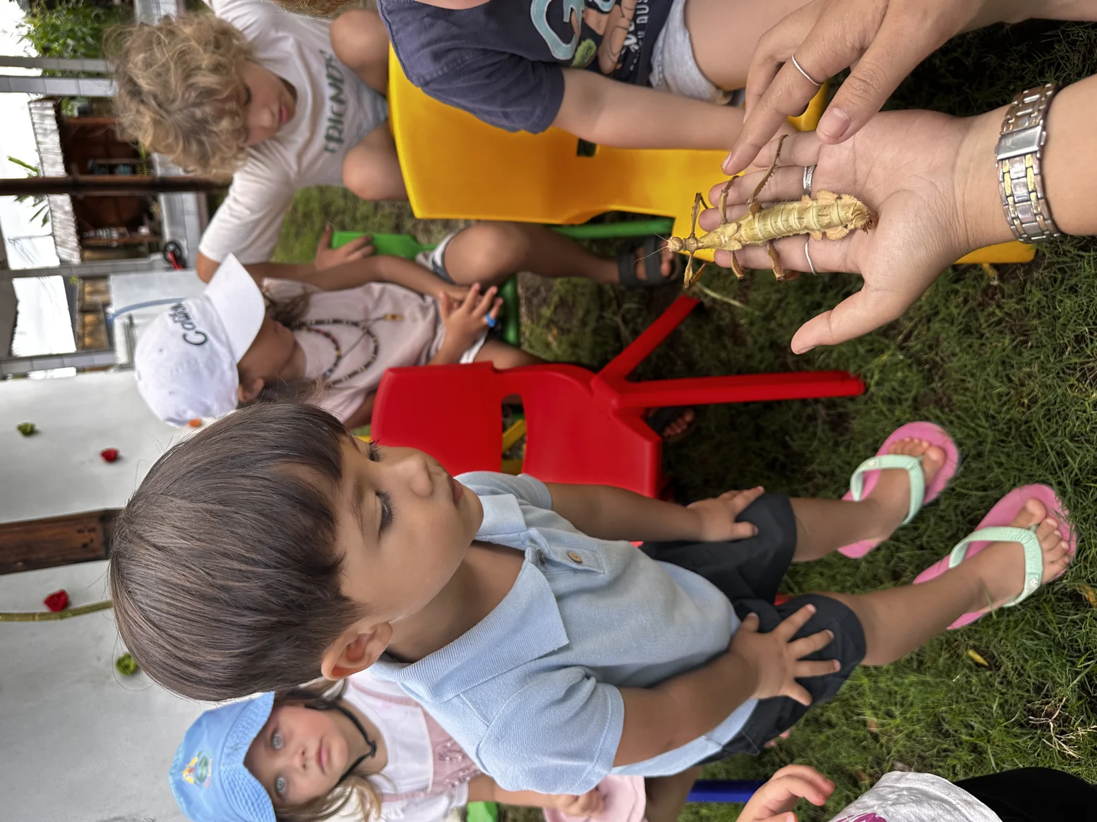 Sunny Kids Moment 32